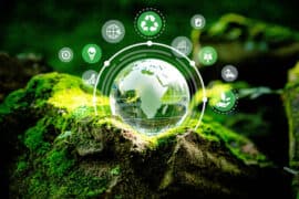 World,Sustainable,Environment,Concept.,Crystal,Globe,Putting,On,Moss,With