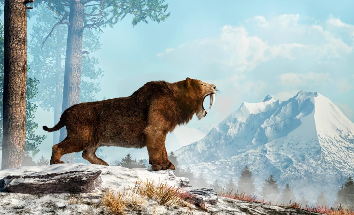 Sabertooth skull offers new clues about the extinct mammal - Earth.com