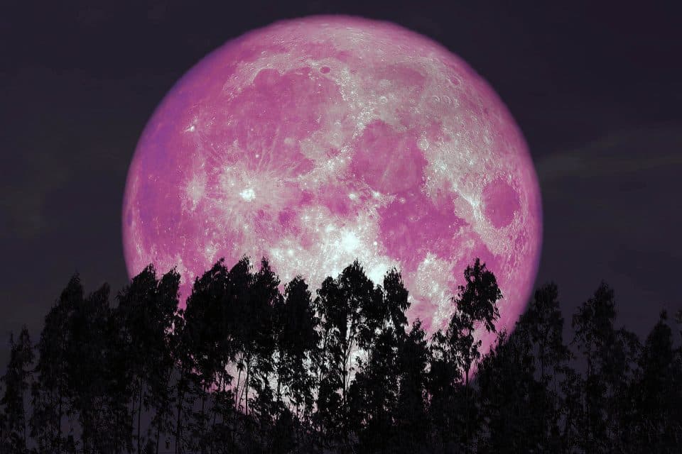'Strawberry Moon' tonight is the sweetest of the year
