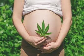 2024/06/impact-of-prenatal-cannabis-exposure-on-infant-language-development.jpg