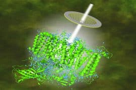 2024/07/Photosynthesis_cryo-microscope_atoms_credit-Schroder_Umea-University_1m.jpg