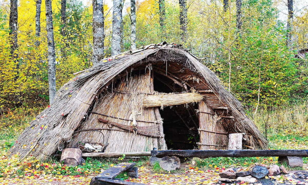 Stone Age hunter-gatherers had a very organized domestic life .