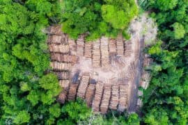 Aerial,View,Of,A,Log,Storage,Yard,From,Authorized,Logging