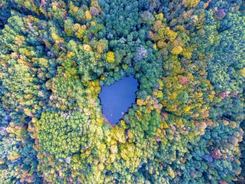 Aerial,View.,Wild,Forest,Lake,In,Russia,,Caucasus.