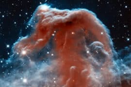 2024/04/horsehead-nebula_hubble_infrared_1m.jpg
