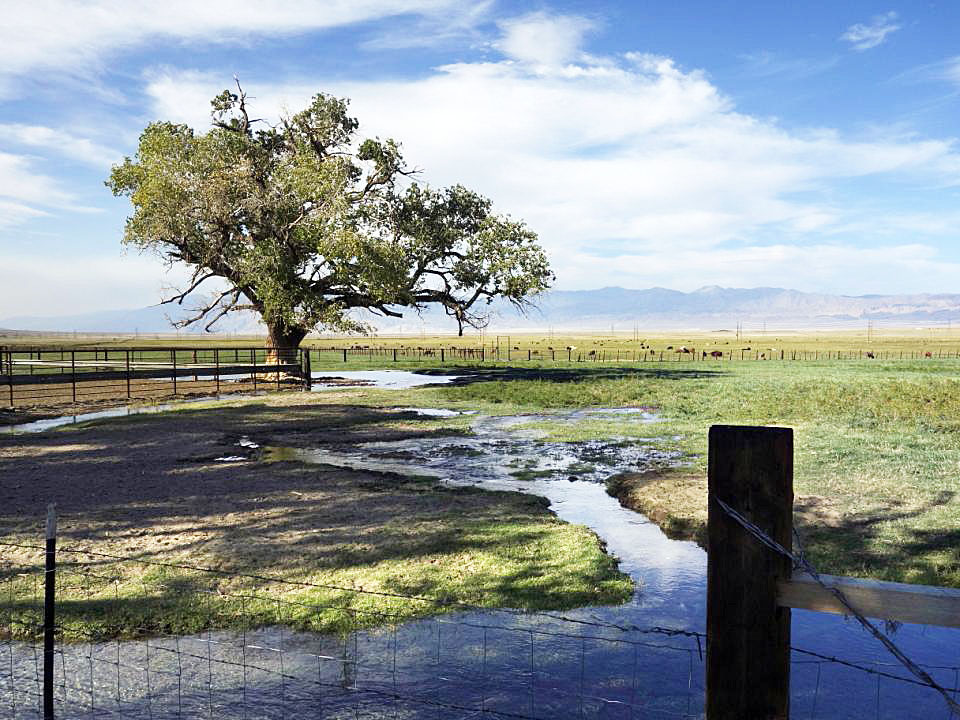 Water Flows Again In Los Angeles Aqueduct
