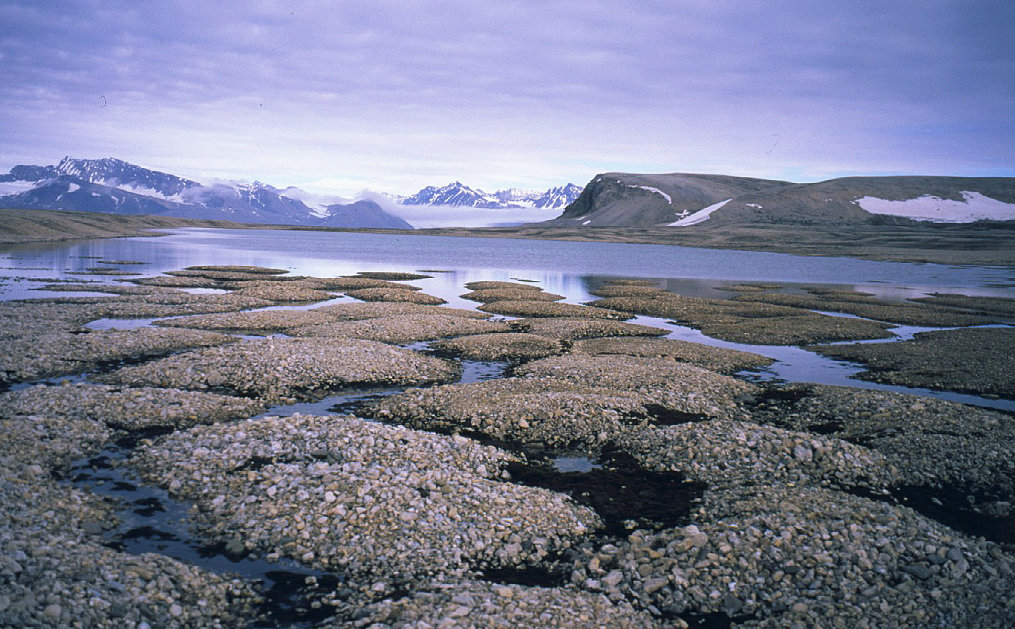 Ancient Permafrost Quickly Transforms To Carbon Dioxide Upon Thawing