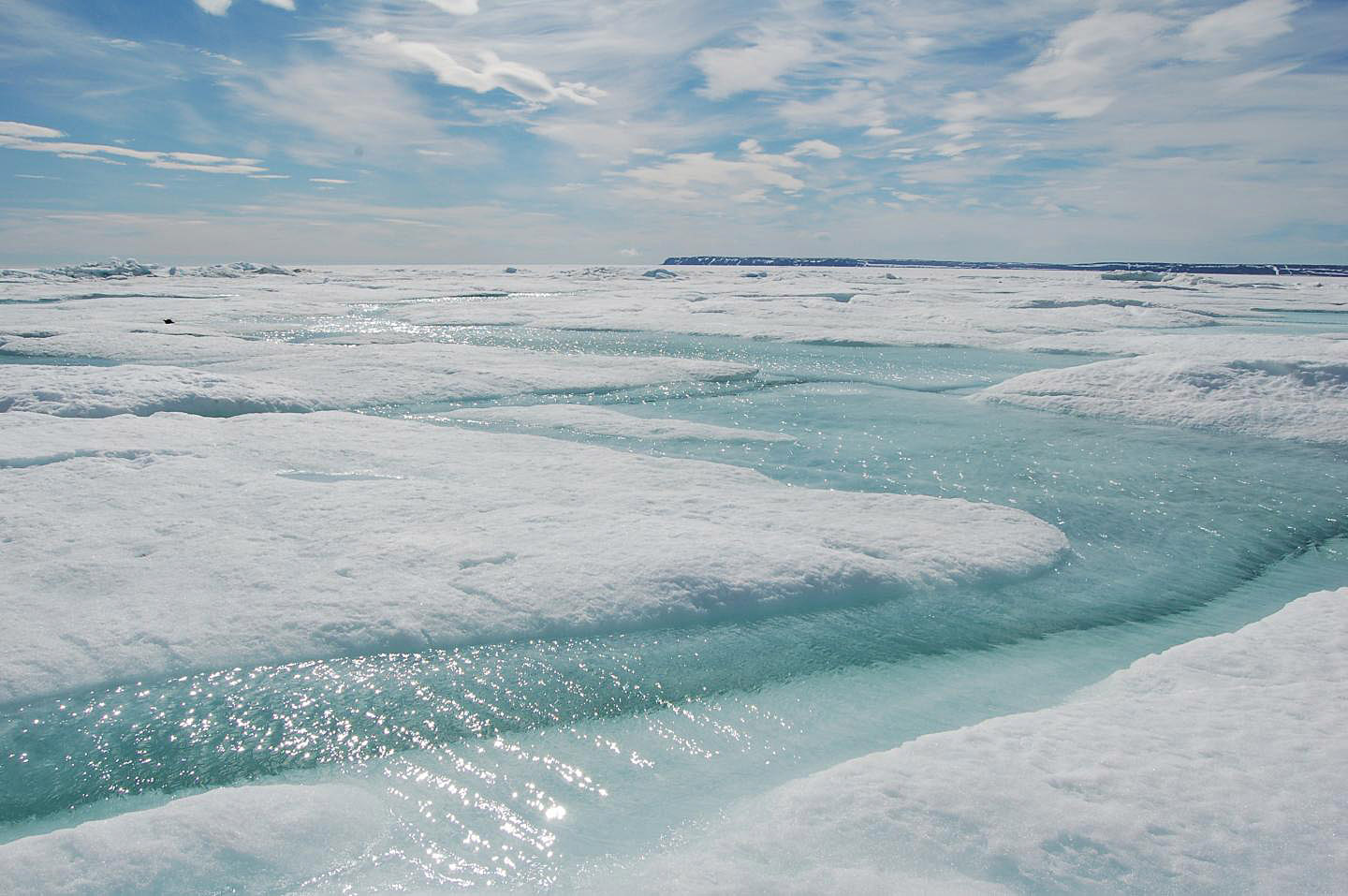 Coastal Sea Ice Drives Ocean Circulation And Climate