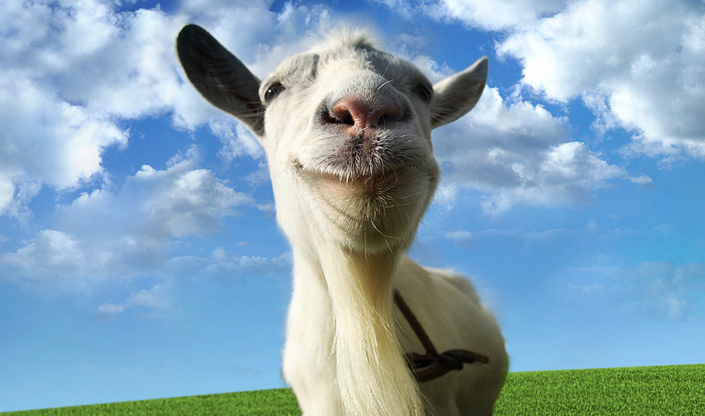 New Trend: Using Goats To Clear Land