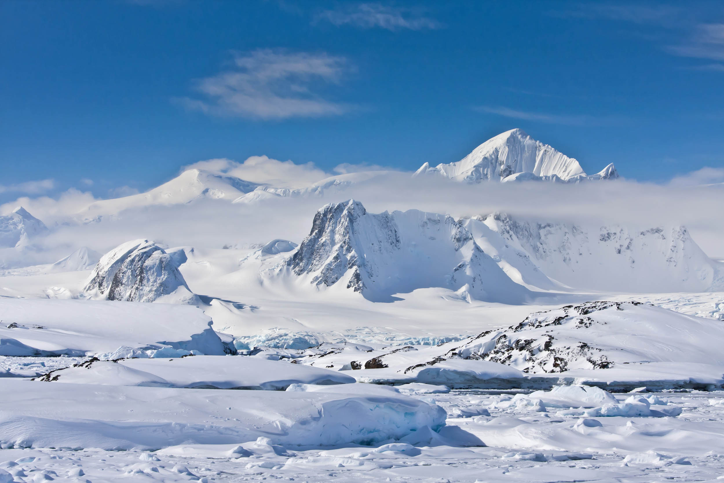 Sea ice and salty snow impact air pollution in the Arctic