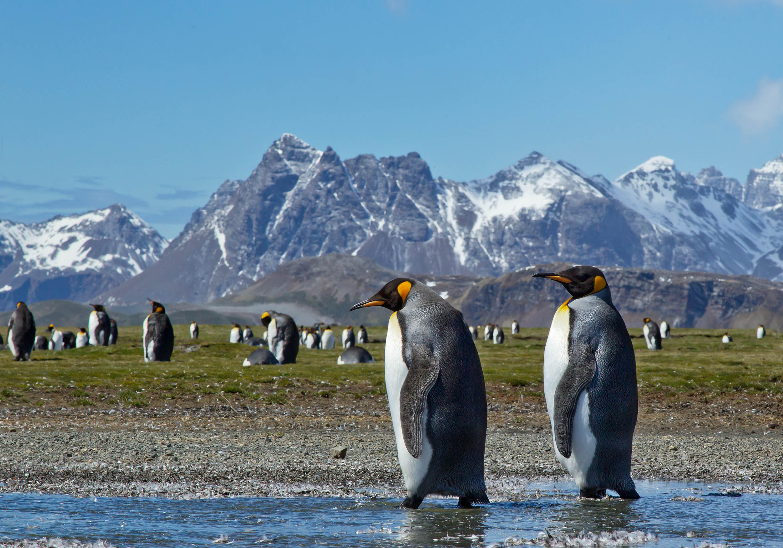 What happens when Antarctica melts?