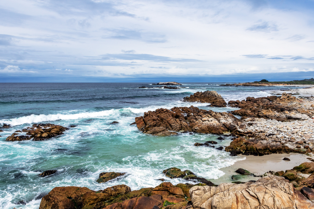 Ocean temperature changes have major effects on marine ecosystems