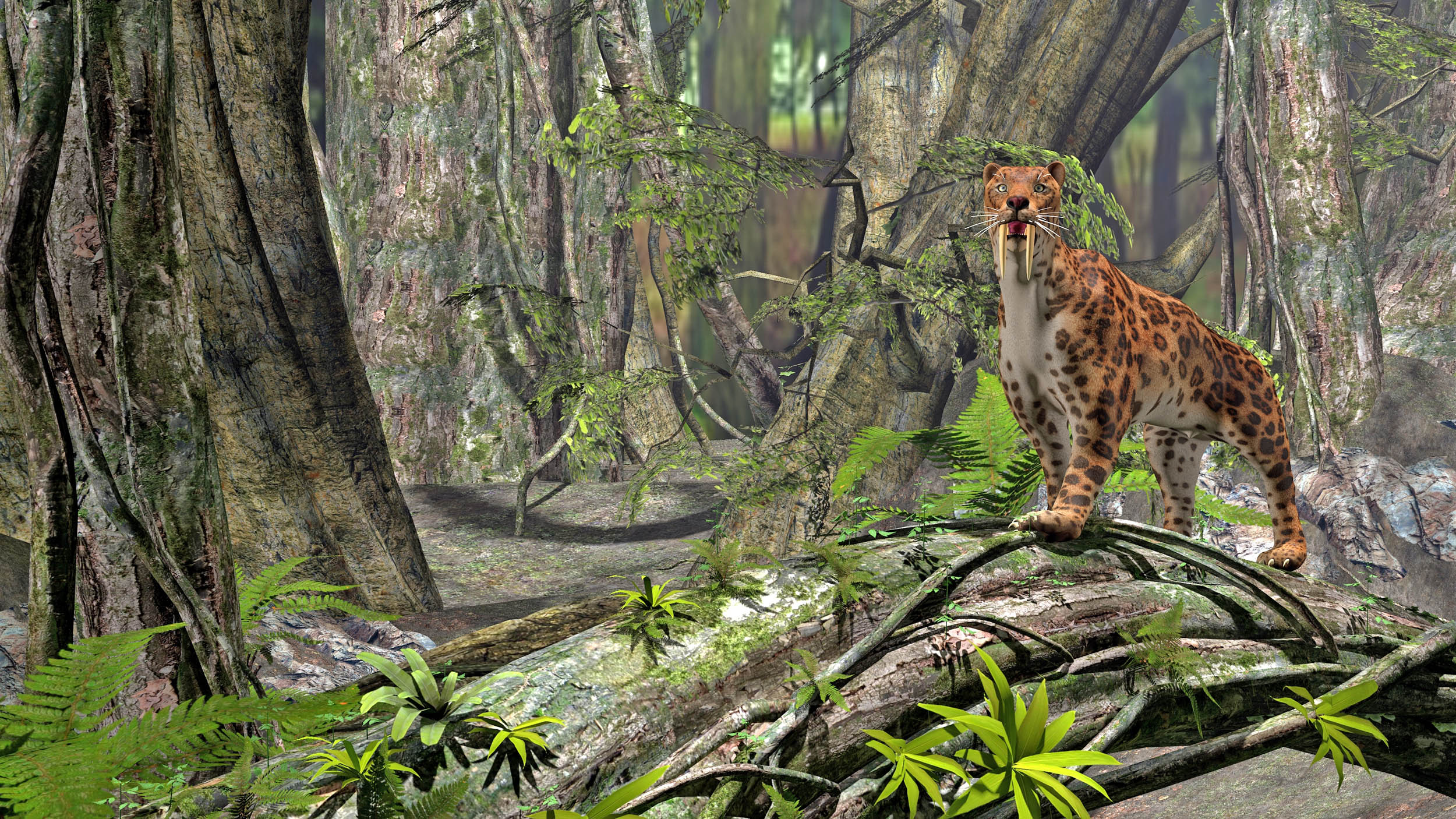 Ancient sabertooth cat found in northwestern China big as a polar bear