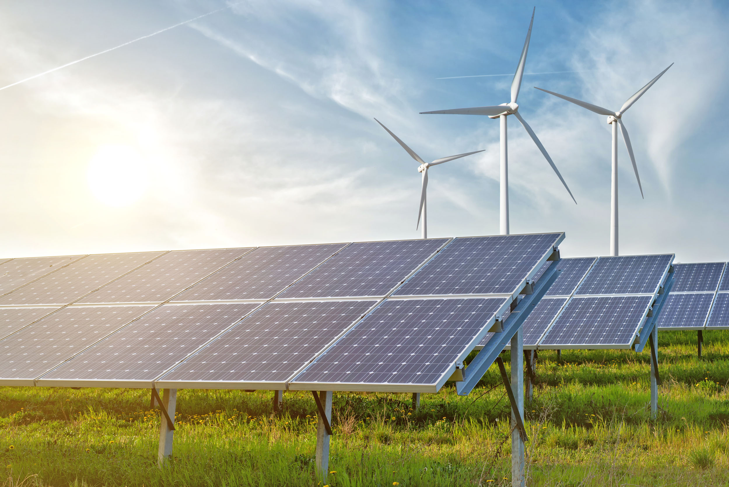 Green energy supporters stand strong in the face of Trump’s future