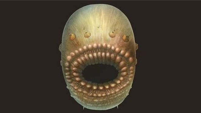 Big-mouthed, minuscule creature is oldest human ancestor