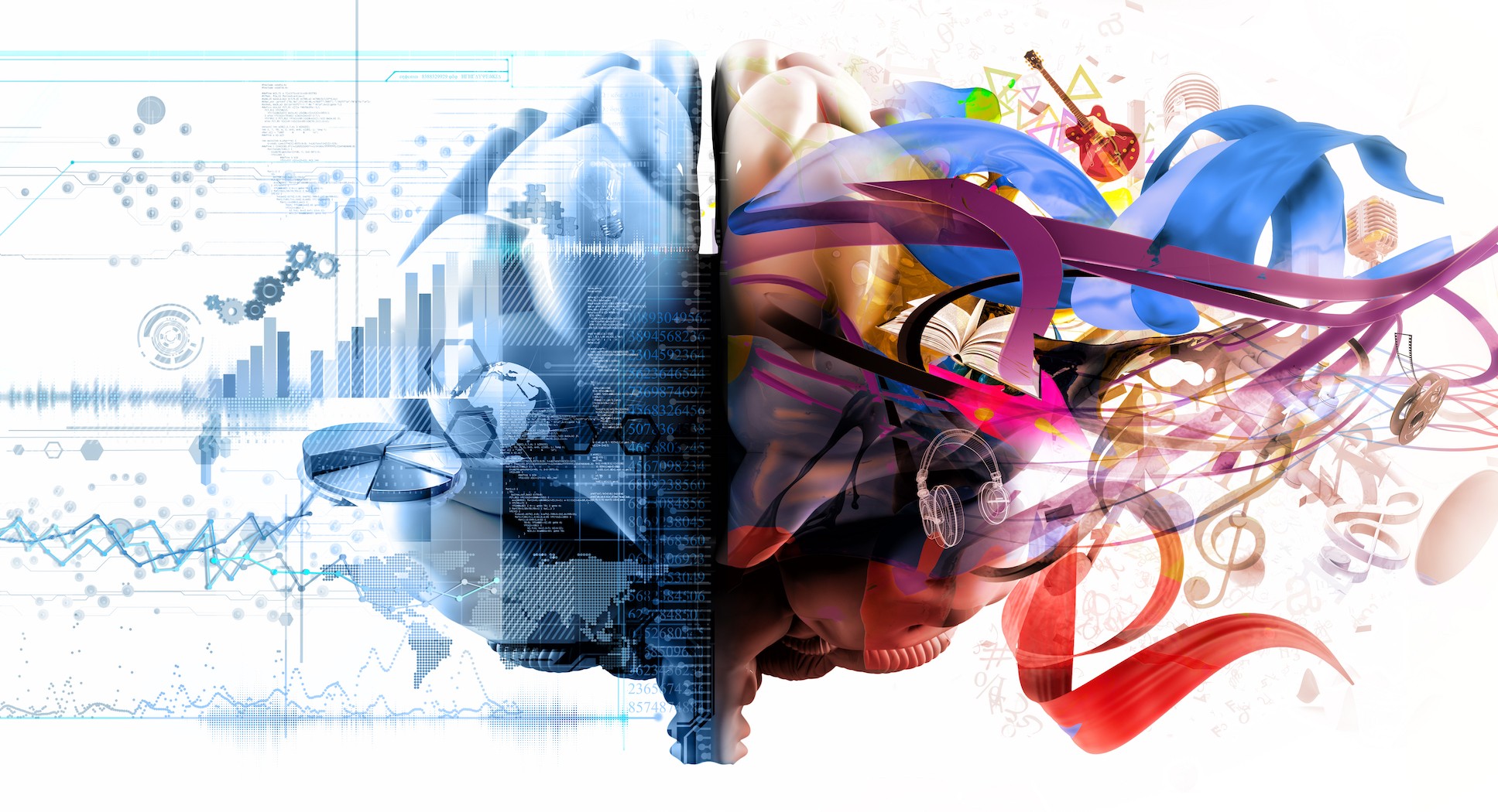 Why animals evolve to favor one side of their brain