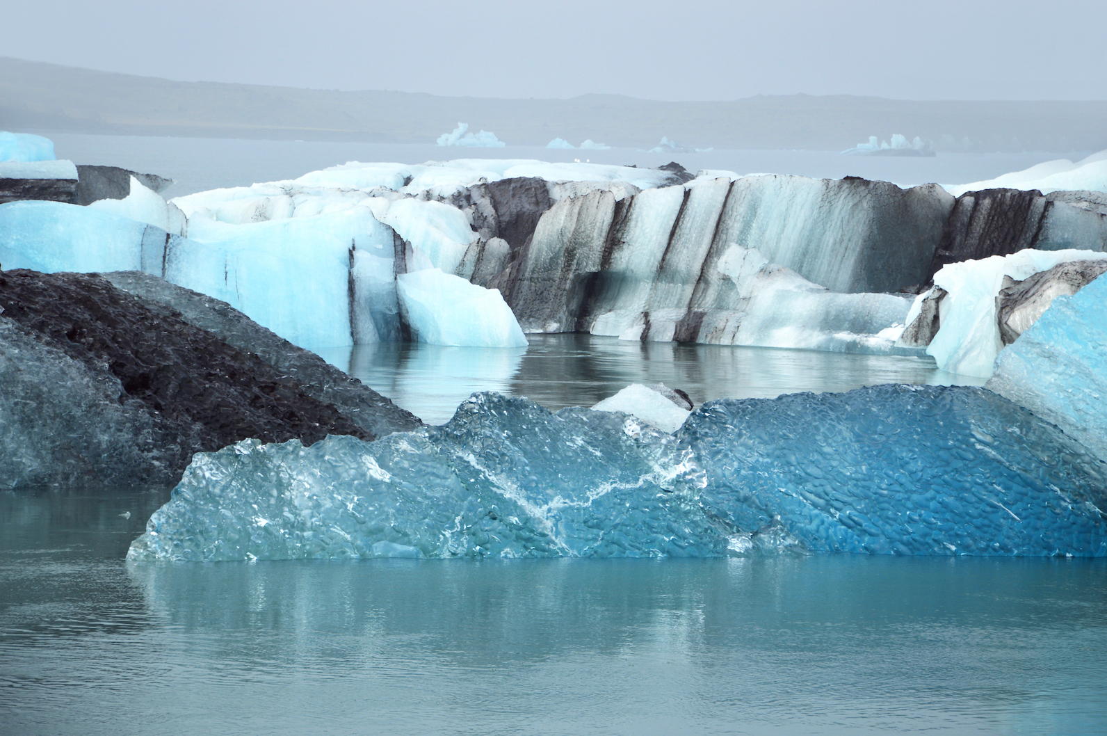 Report: Climate change unleashing deadly viruses, bacteria