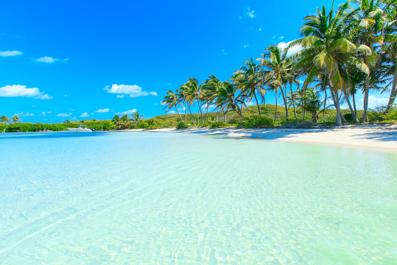 Virtual reality takes you to the beach during dental procedures