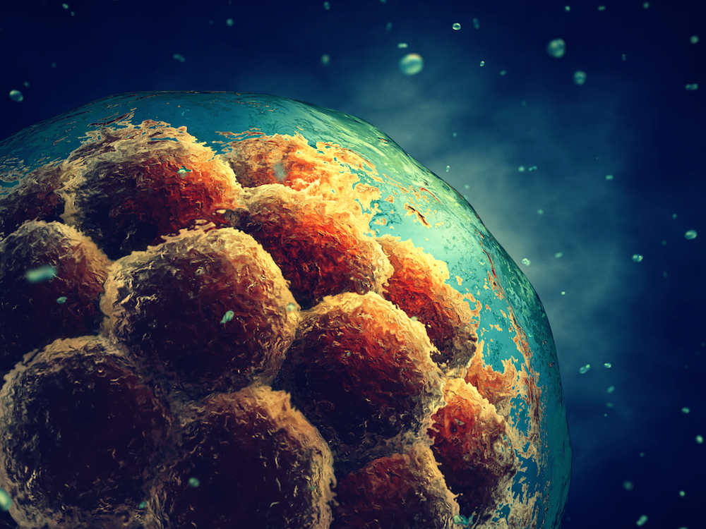 U.S. scientists successfully edit genes of human embryos