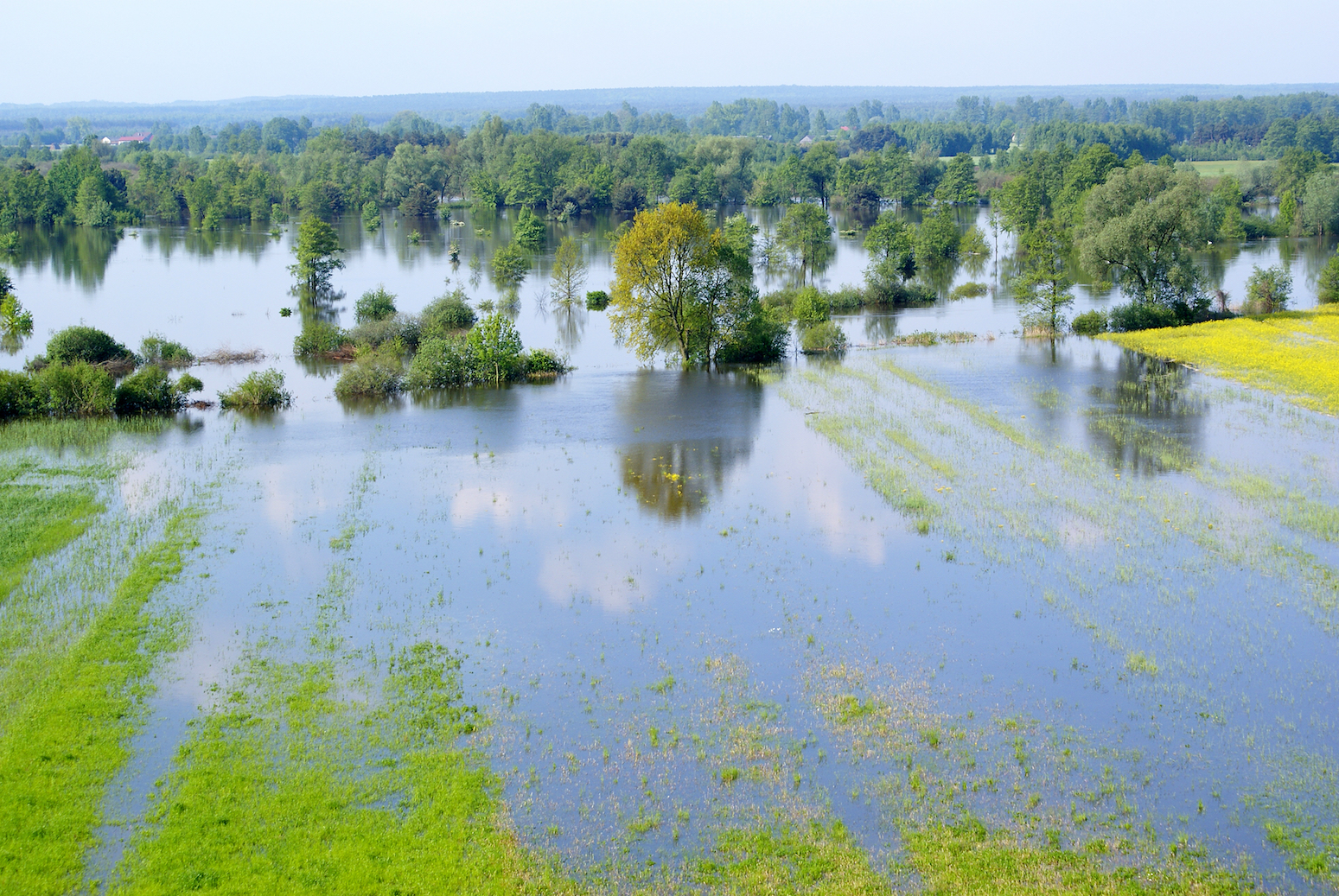 Flooding can actually help the health of river ecosystems