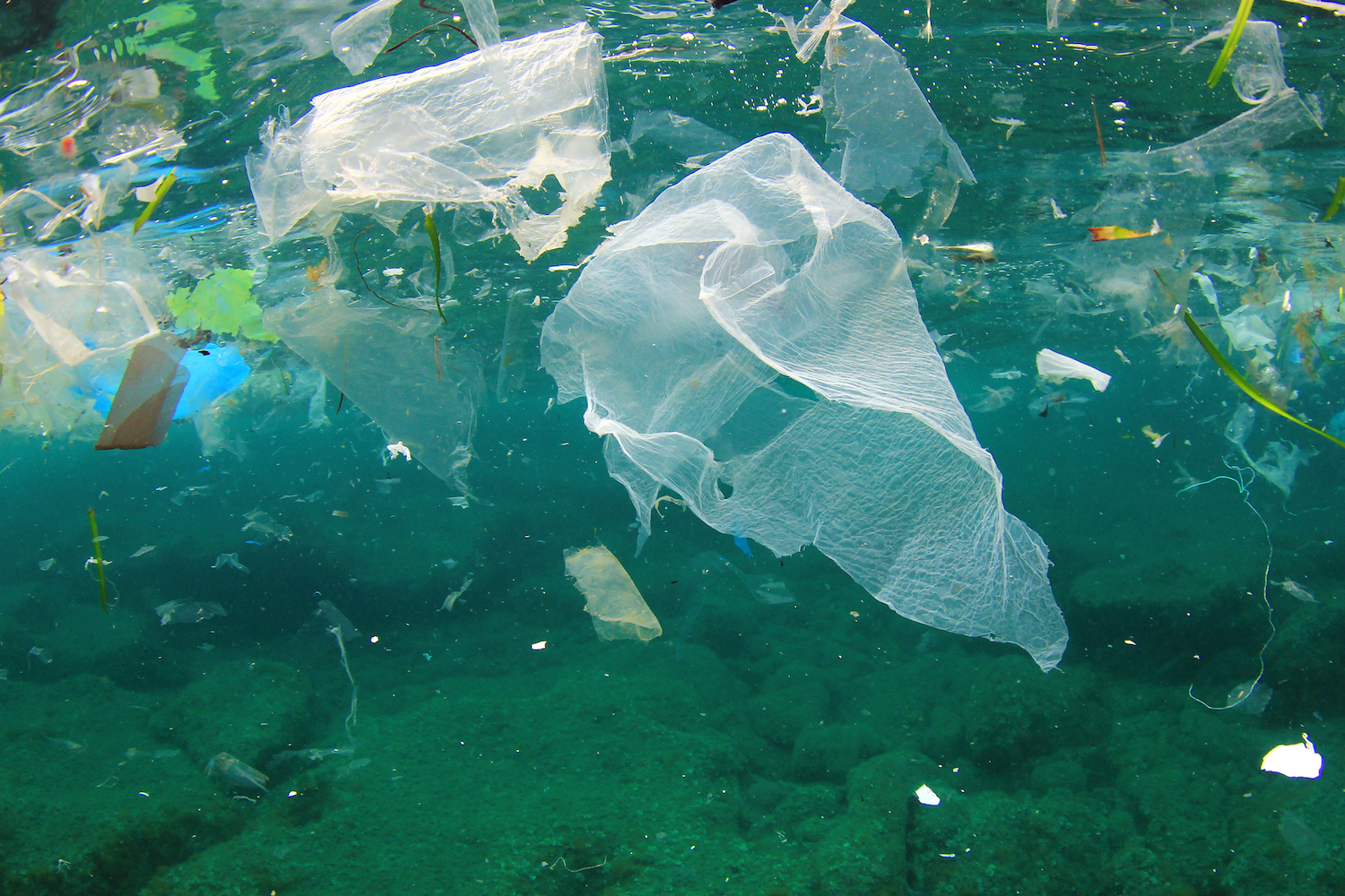 Over 200 countries agree to end ocean plastic litter