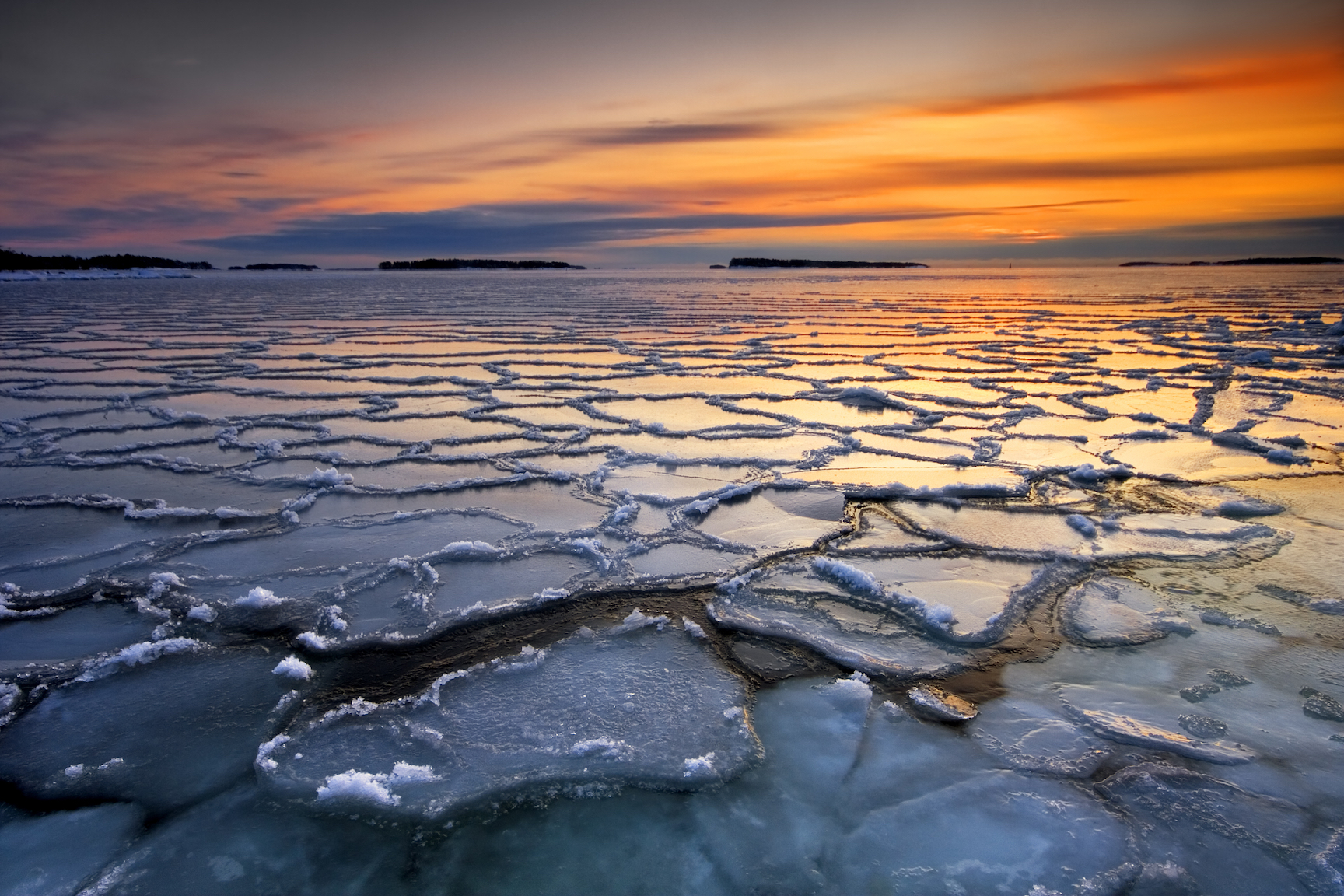 Sea ice algae grow in the darkest areas ever recorded