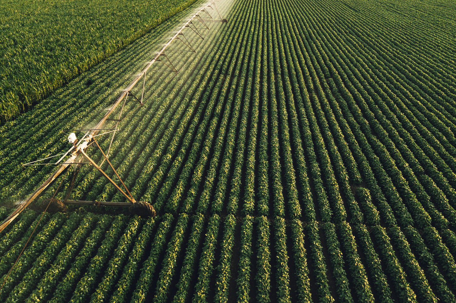 Farming with crushed rocks can help soak up carbon