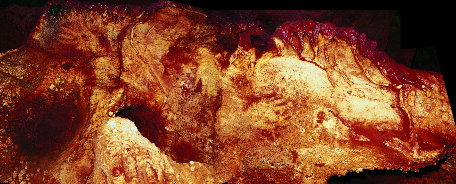 Neanderthals, not humans, were responsible for the first cave art