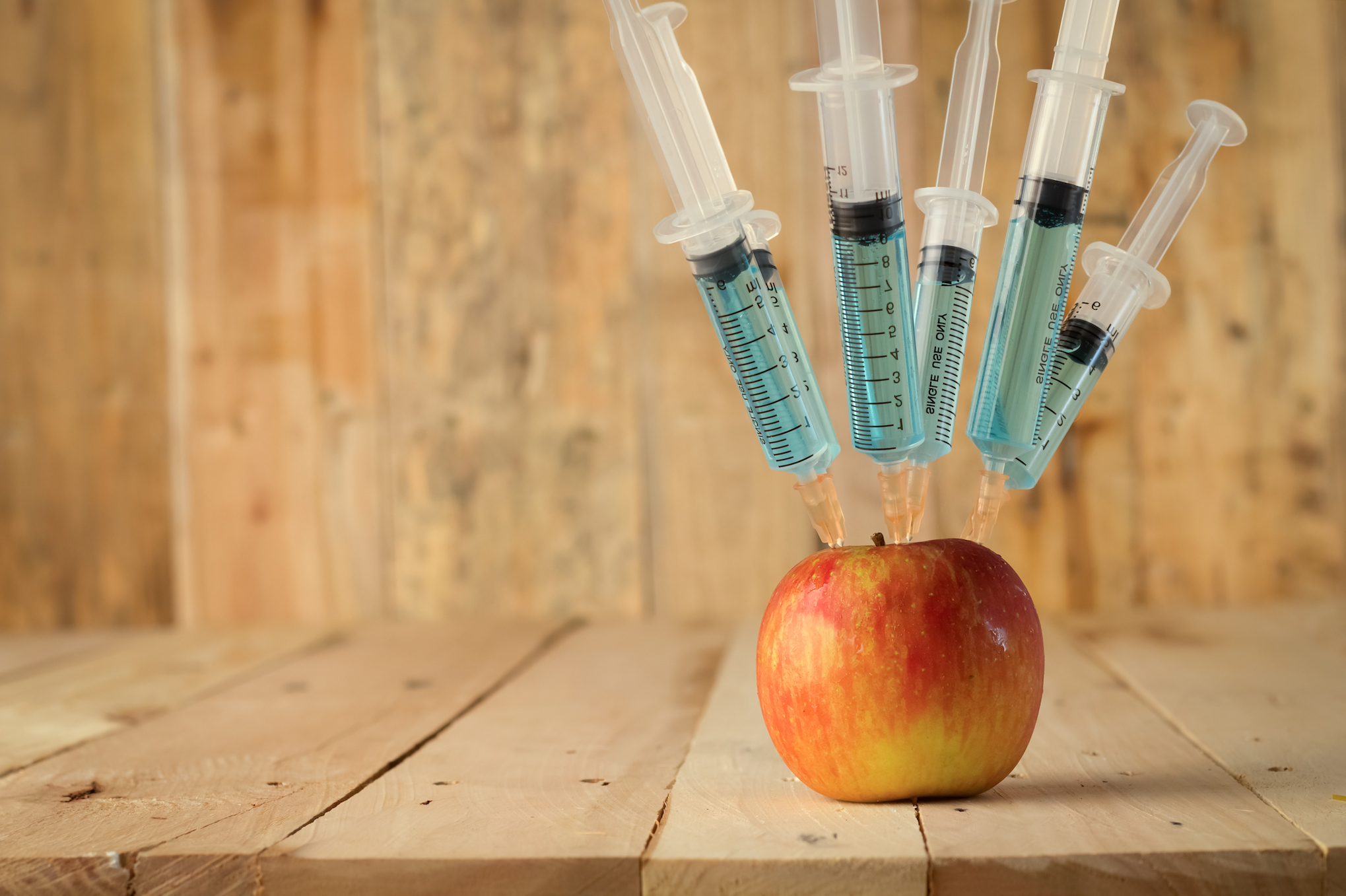 The real problem with GMO crops