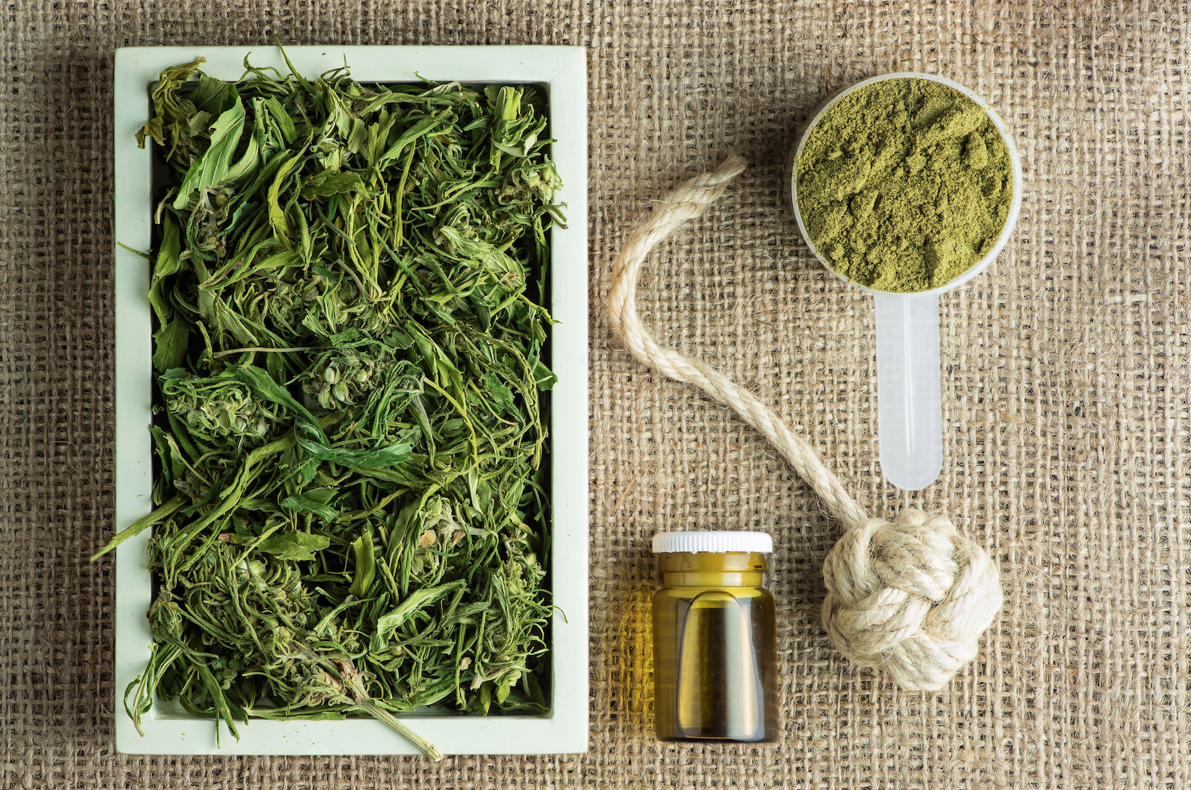 Hemp could one day be used to fight ovarian cancer