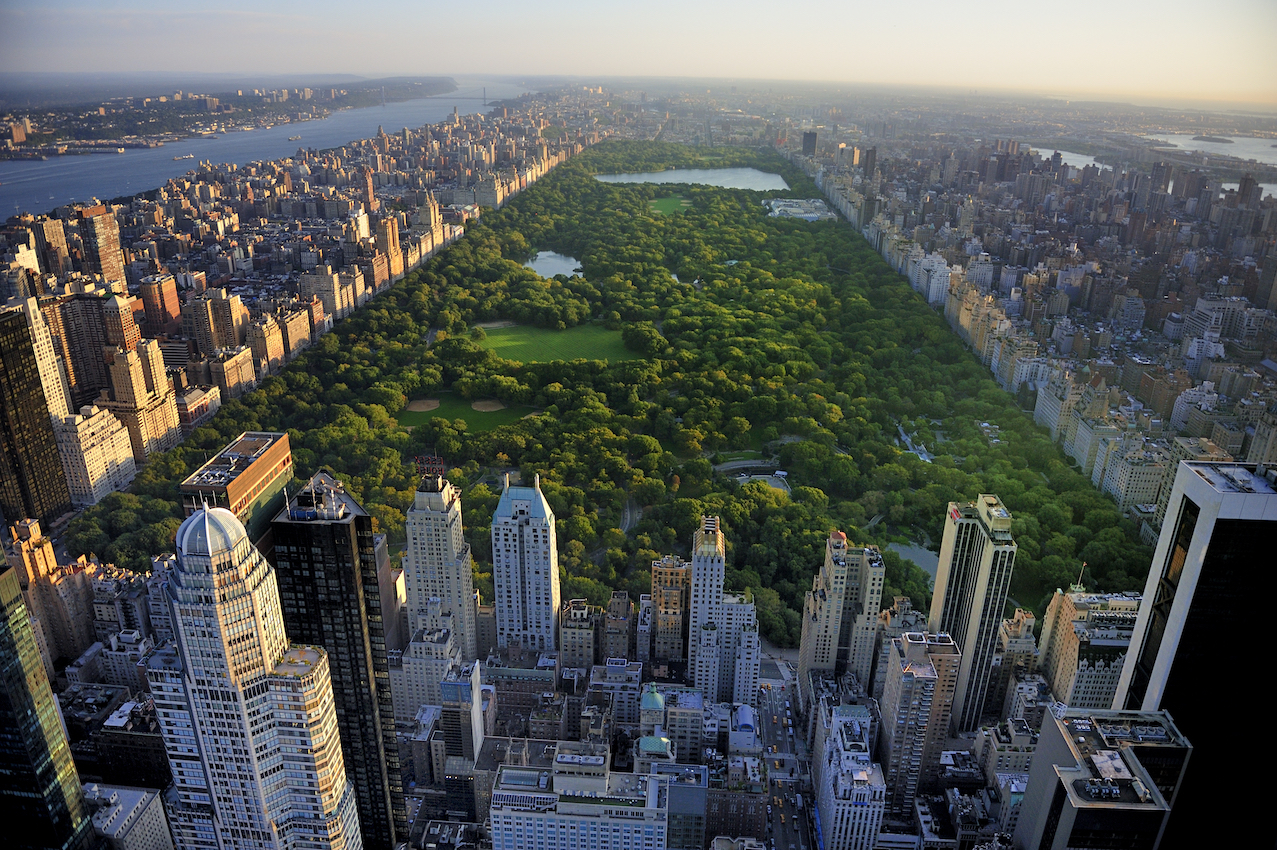Urban forests can store as much CO2 as tropical rainforests