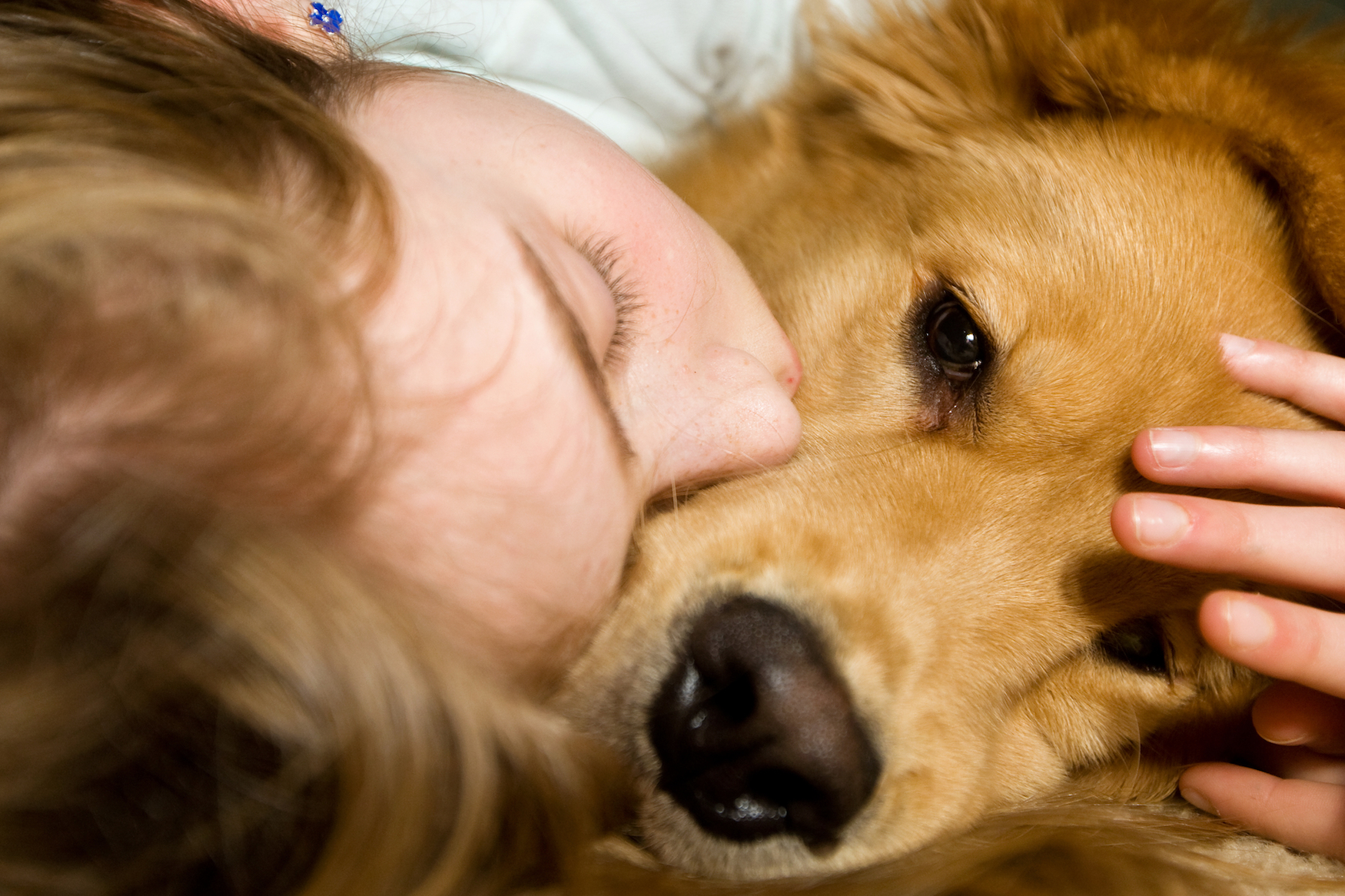 What makes dogs so compatible to hang out with humans?