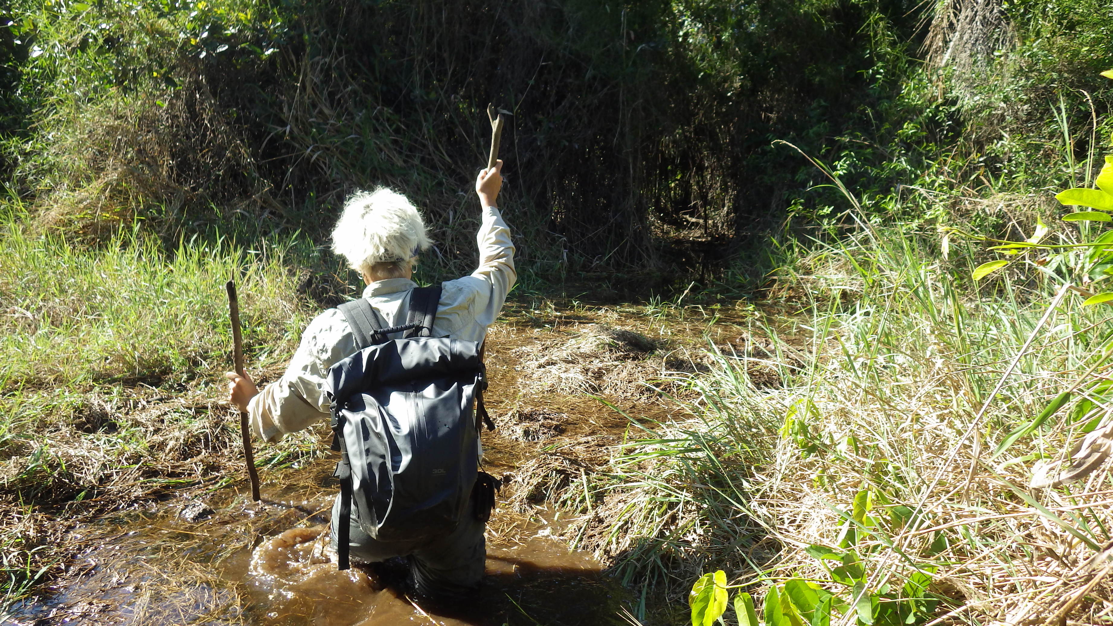 Ancient Amazon communities used sustainable farming techniques