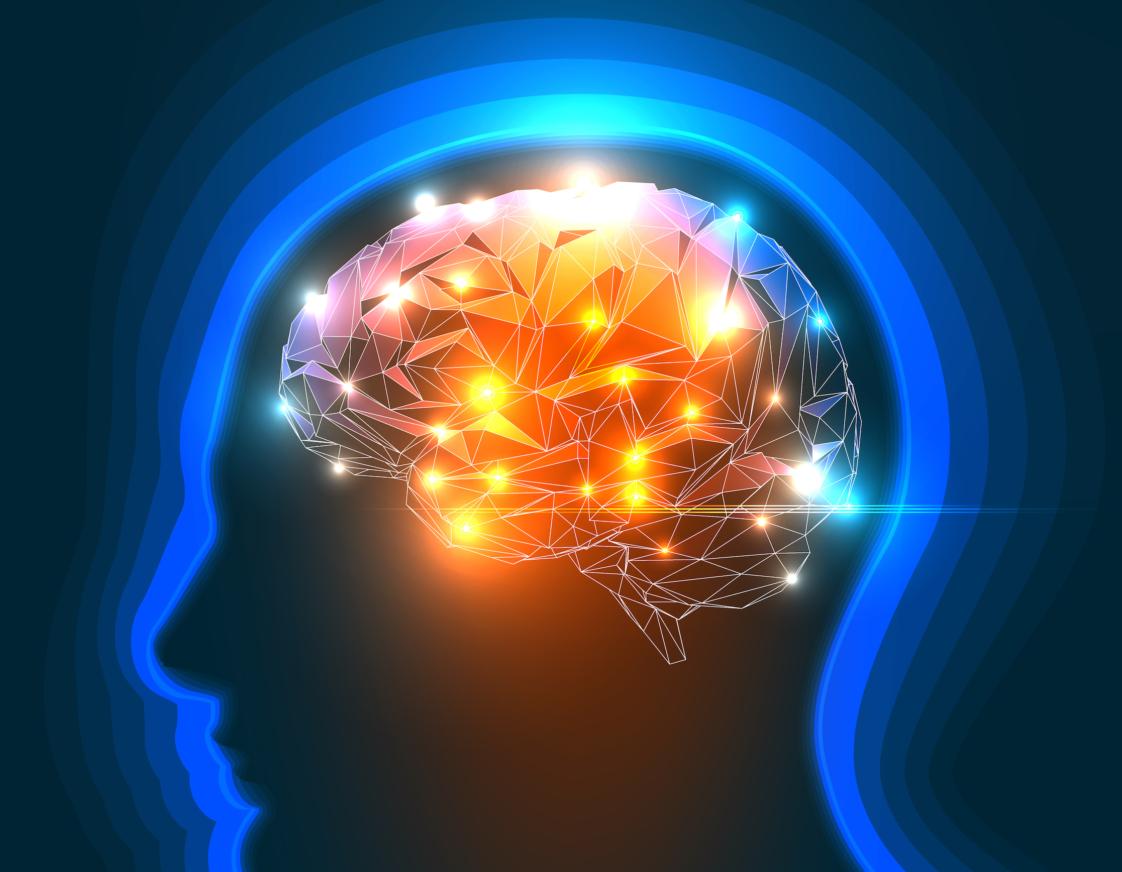 How does the brain stay awake during the day?