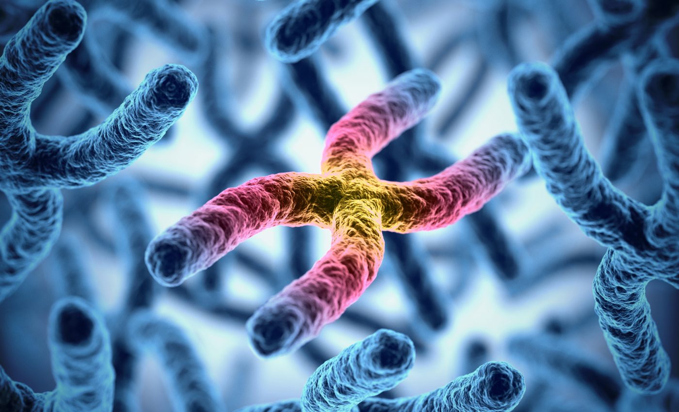 Humans are able to to live so long thanks to genetic mutations