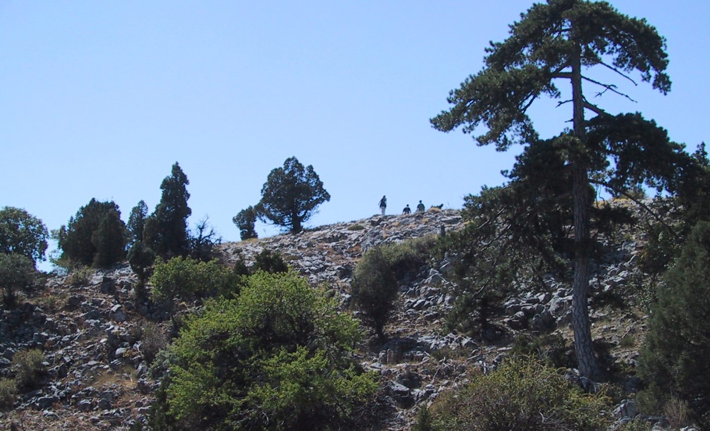 The Earth’s tropical belt was shifting long before industrial times