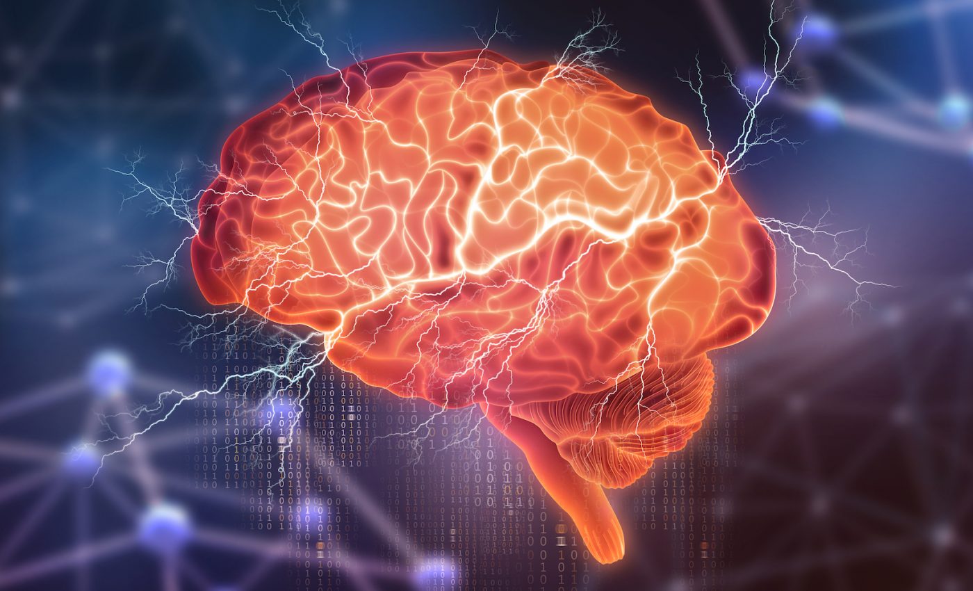 How the brain compensates for its own uncertainty