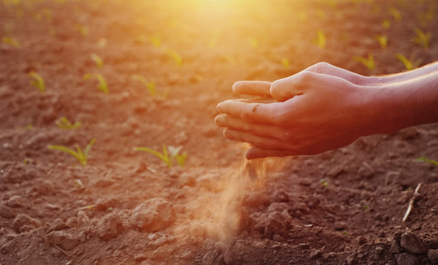 Soil bacteria eat up this powerful greenhouse gas