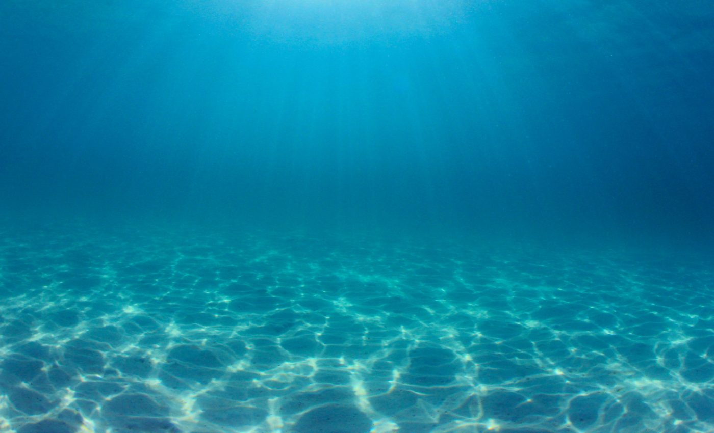 Increased CO2 levels are causing the ocean floor to dissolve