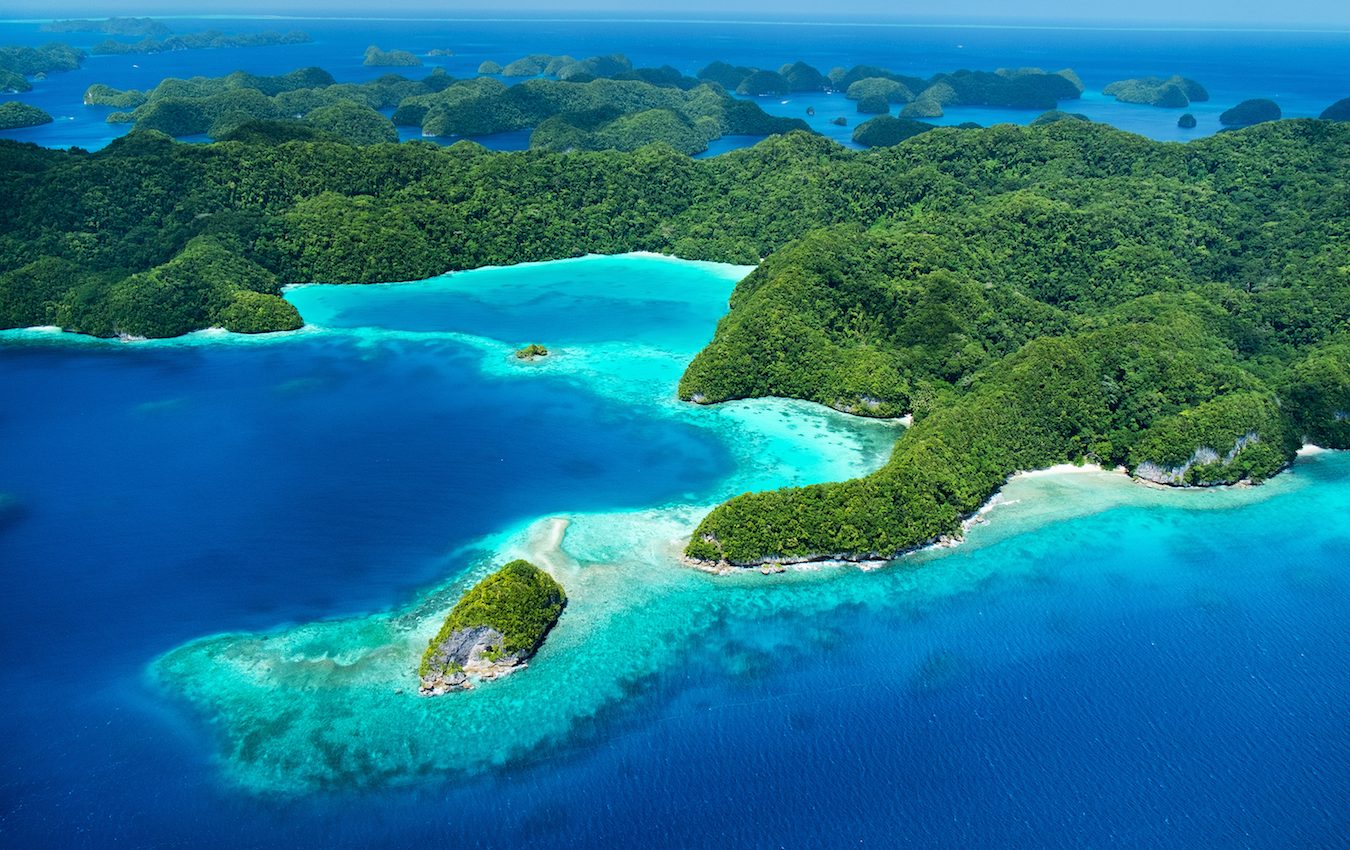 Pacific island bans toxic sunscreens to protect coral reefs