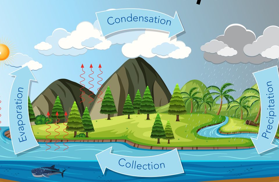 What is the water cycle?