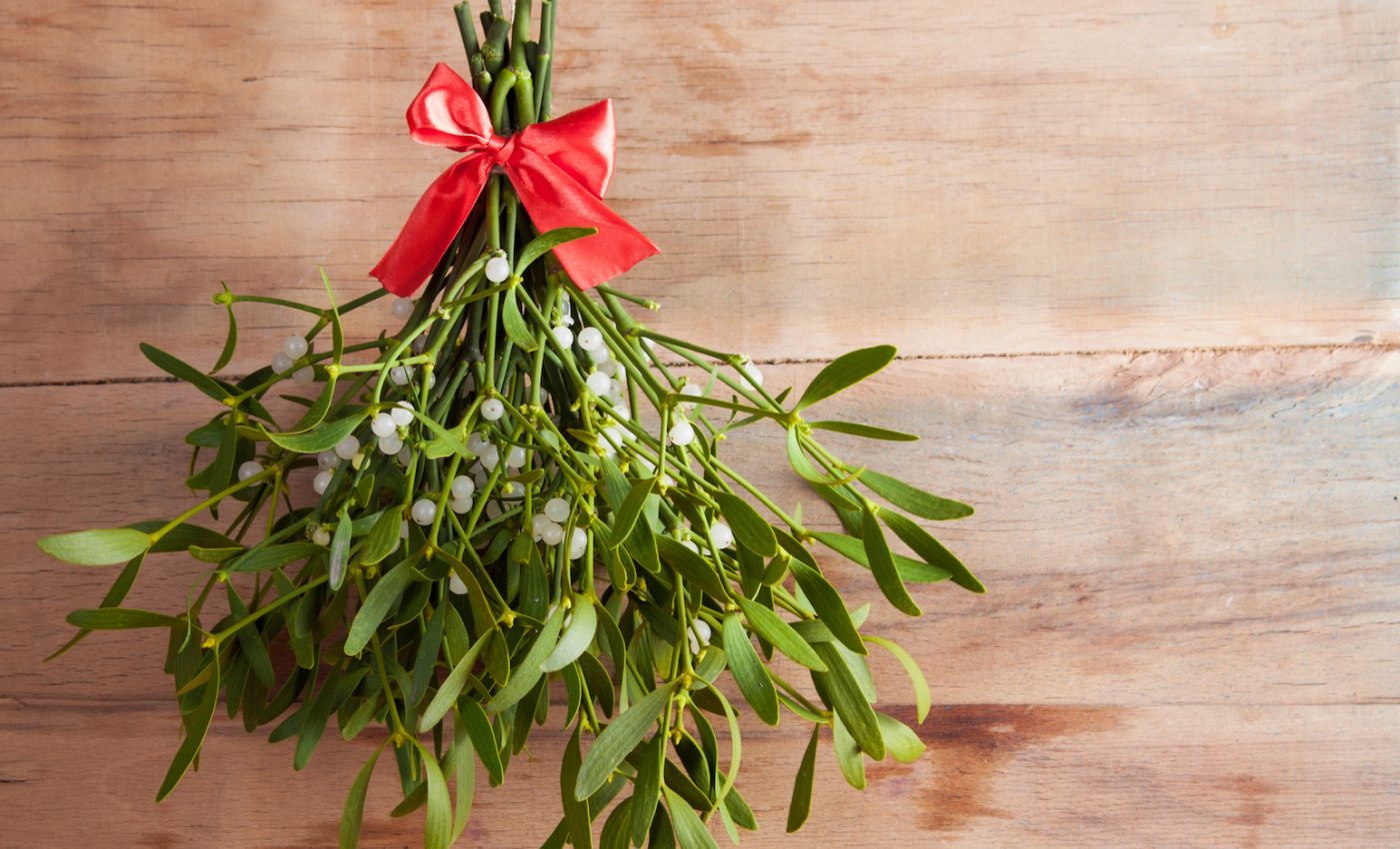 How mistletoe became an icon of Christmas