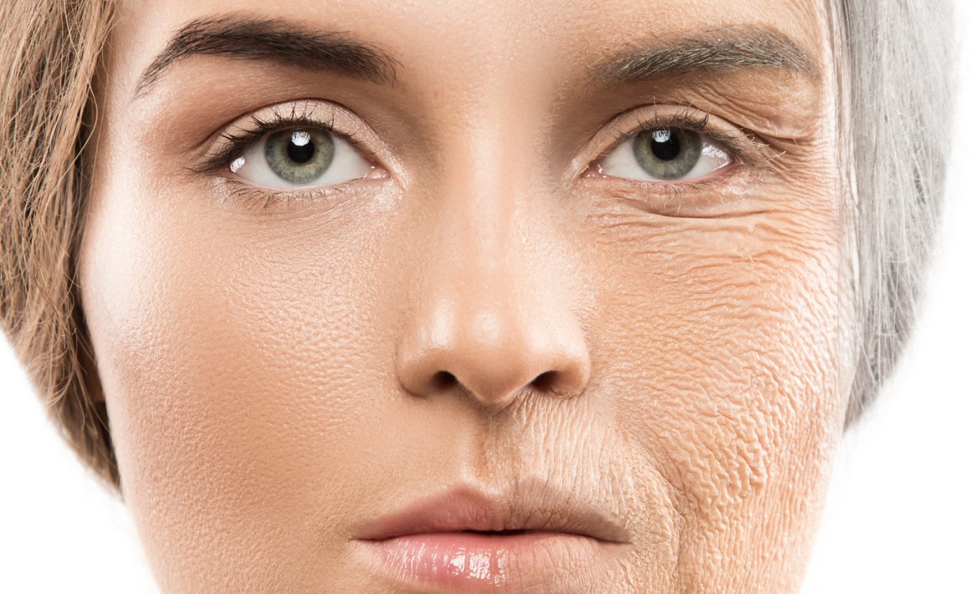 Why our skin loses fat and immunity during aging