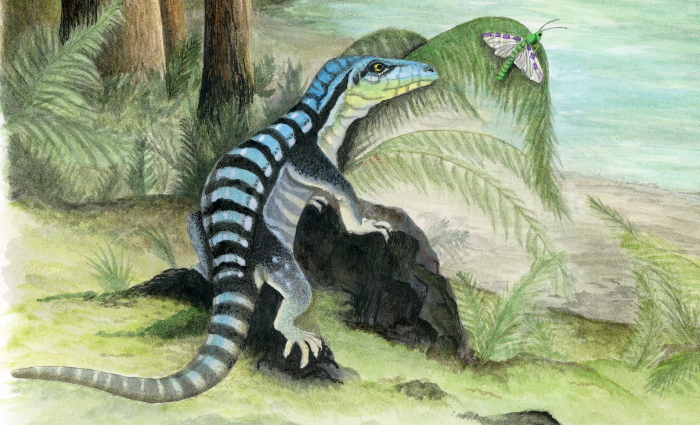 New iguana-sized reptile species found in Antarctica