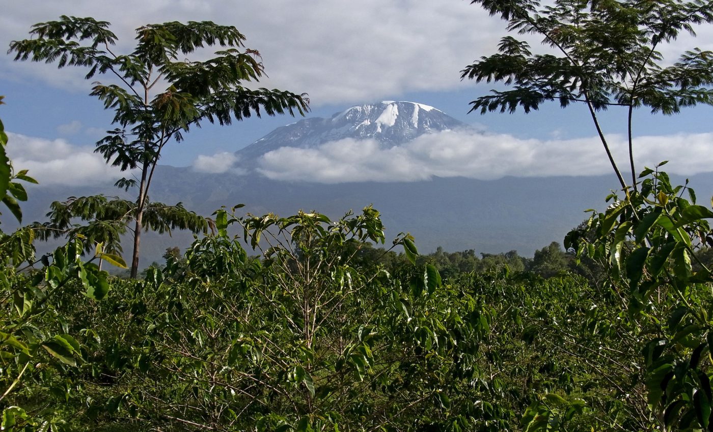 Human land use changes affect performance of tropical mountain ecosystems