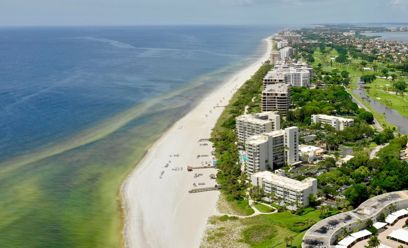 Ocean circulation likely caused the highly-concentrated 2018 red tide