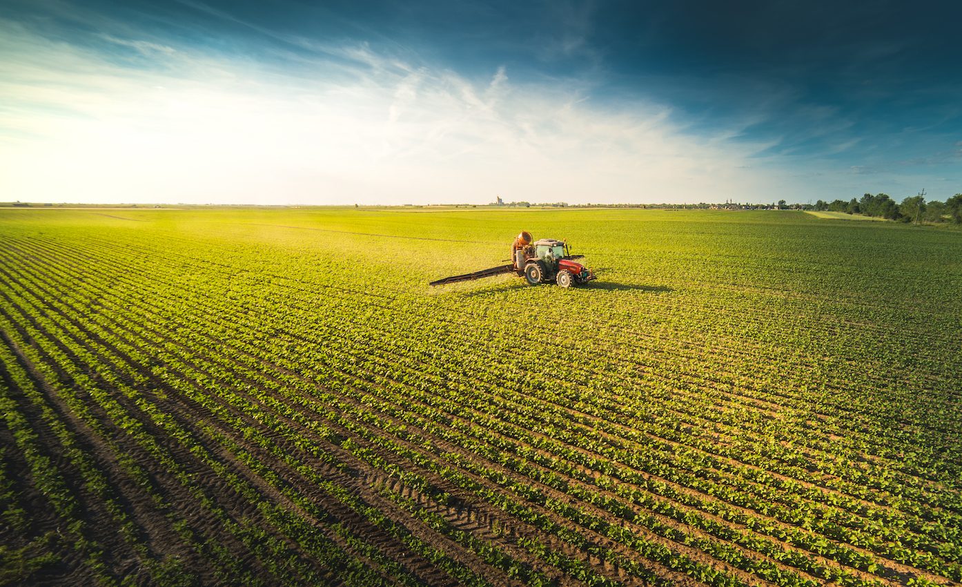 How climate change mitigation policies complicate global food security