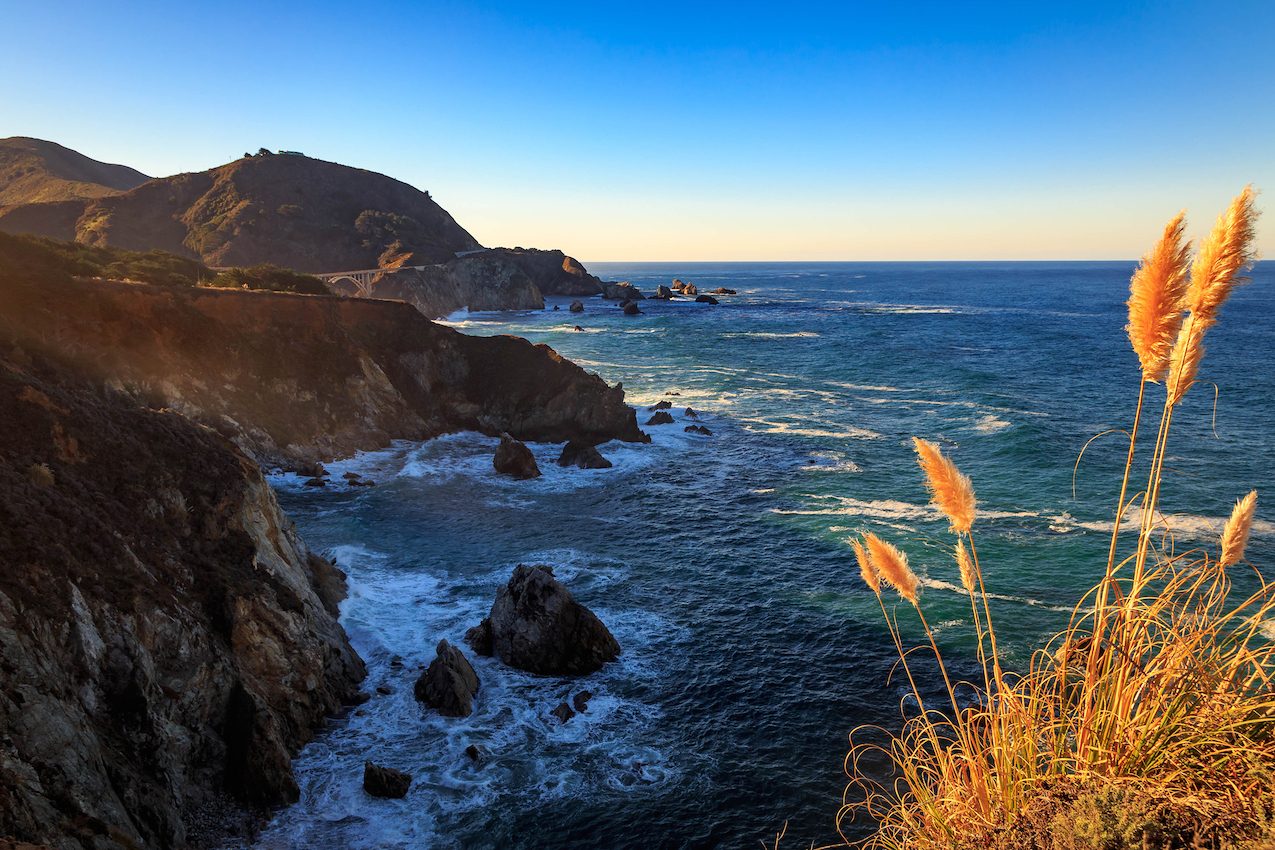 Microplastics have penetrated marine food webs in Monterey Bay