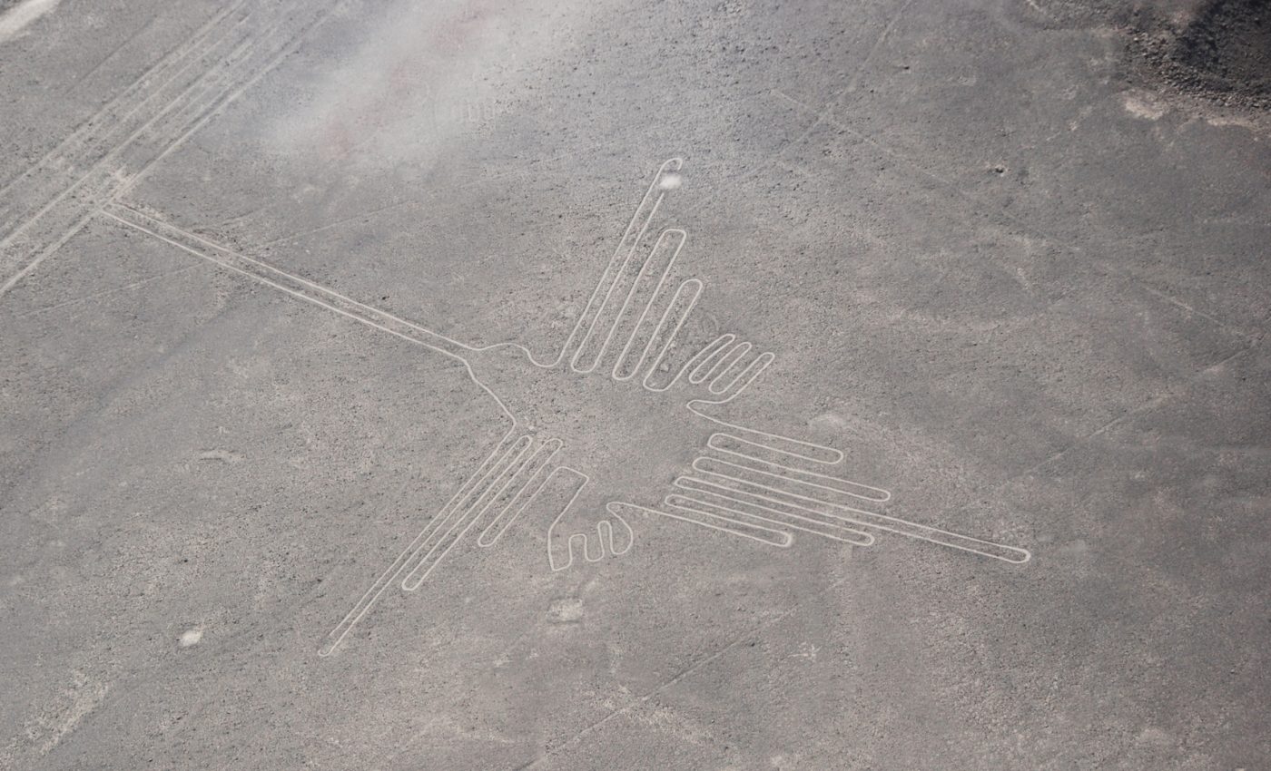 Identifying the enormous bird carvings in the Peruvian desert