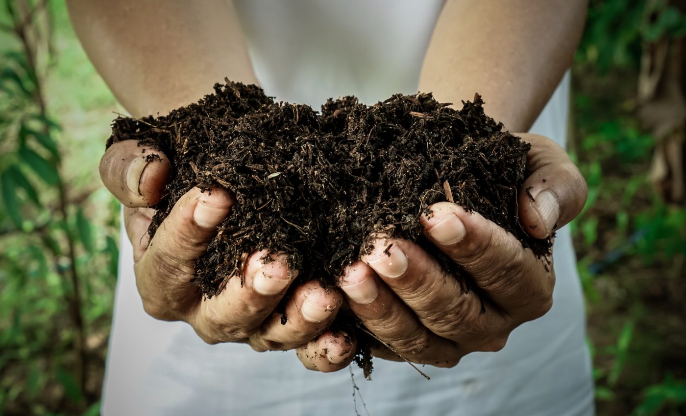 New company offers option to compost human bodies after death